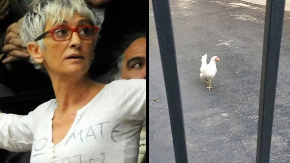 Επικίνδυνη για το πολίτευμα η γυναίκα που… πέταξε την κότα μέσα στο Μέγαρο Μαξίμου!